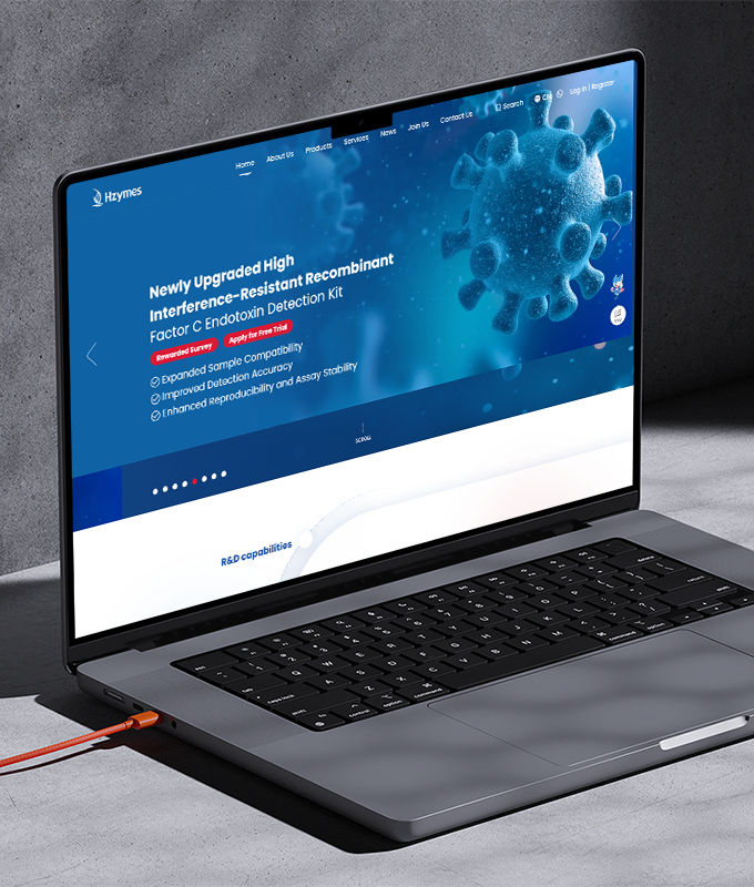 海外企業網站制作