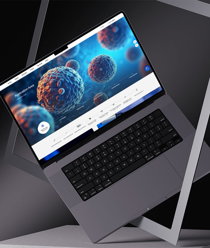 專業(yè)公司網(wǎng)站制作服務